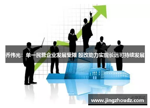 乔伟光:单一民营企业发展受限 股改助力实现长远可持续发展 乔伟光:单一民营企业发展受限 股改助力实现长远可持续发展