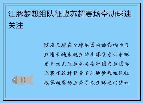 江豚梦想组队征战苏超赛场牵动球迷关注 江豚梦想组队征战苏超赛场牵动球迷关注