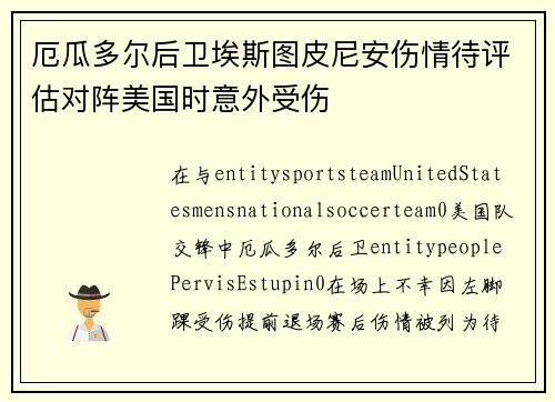 厄瓜多尔后卫埃斯图皮尼安伤情待评估对阵美国时意外受伤 厄瓜多尔后卫埃斯图皮尼安伤情待评估对阵美国时意外受伤